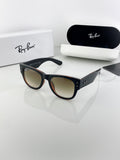 RAY_ BRO_WN SHADED 841 B